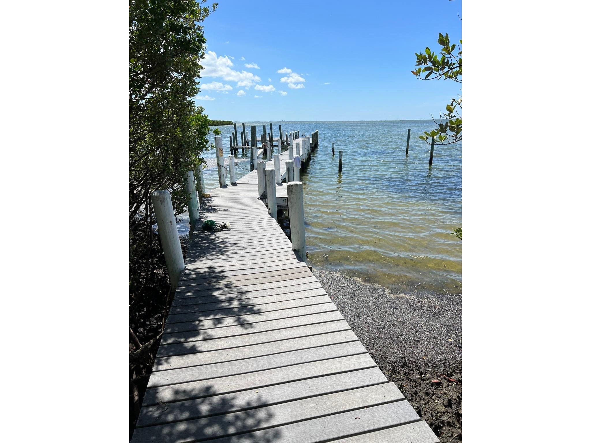 4863 W Flamingo Road #2 Tampa FL 33611 TB8510611 image44