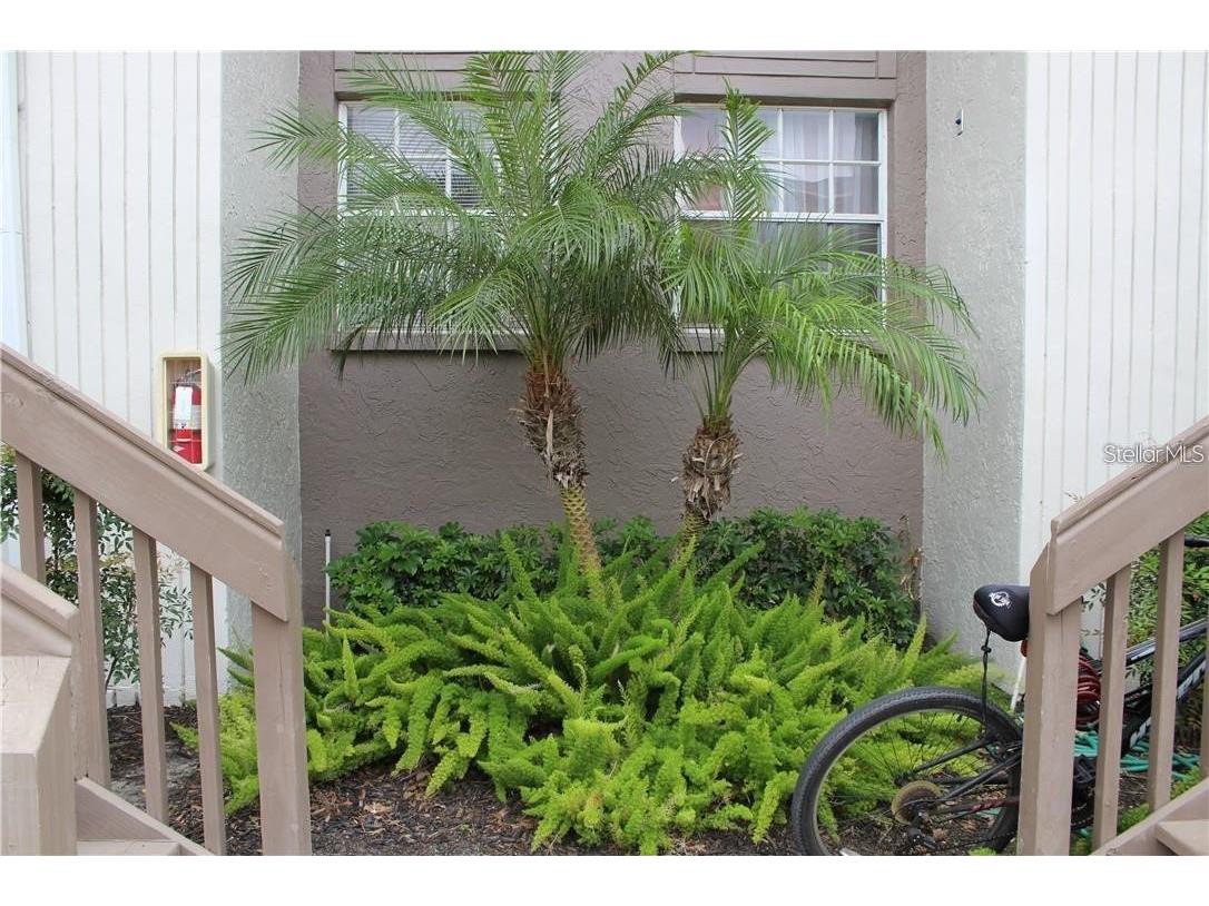 4863 W Mcelroy Avenue #G204 Tampa FL 33611 TB8423708 image2