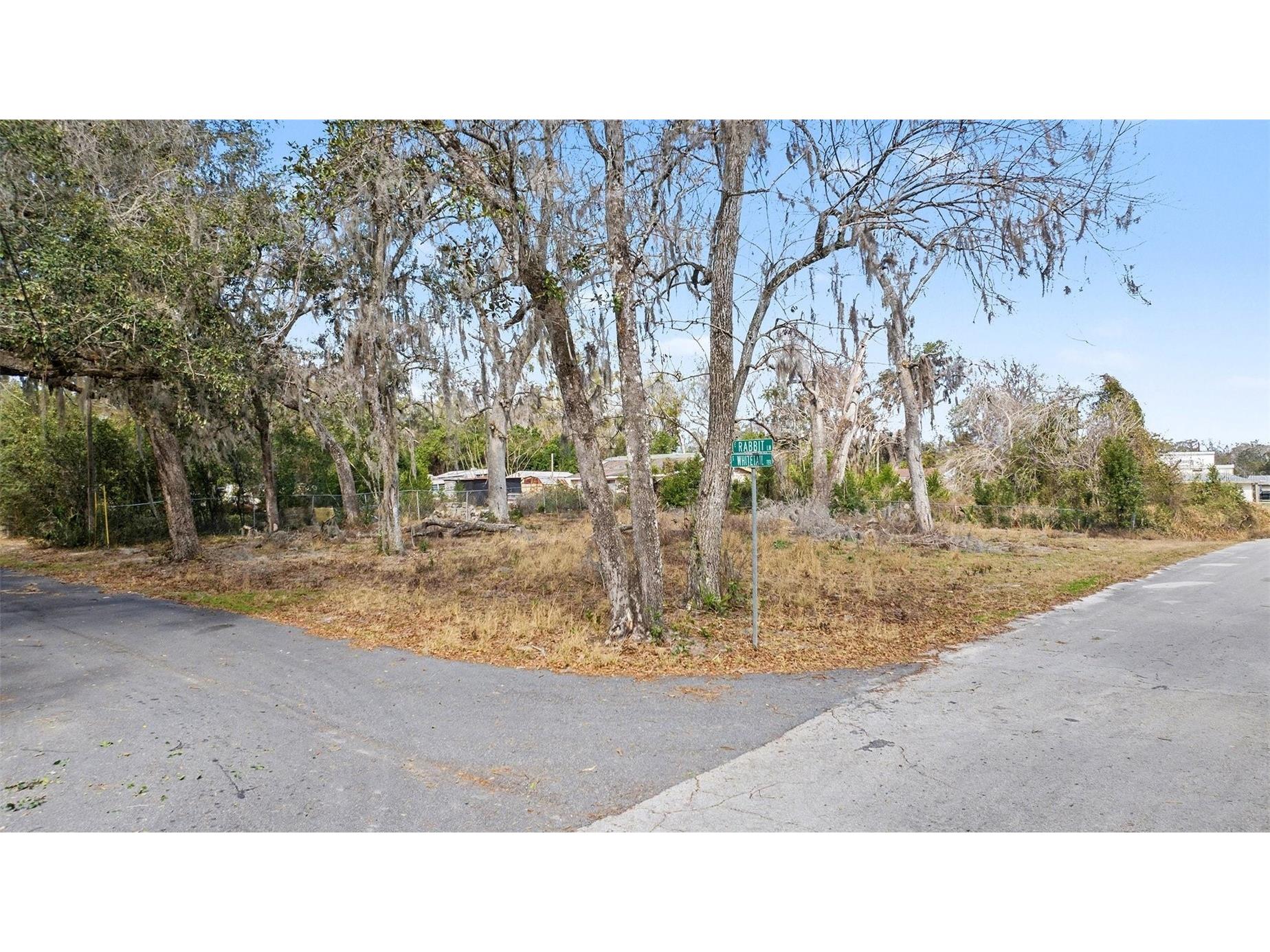 4864 S Whitetail Terrace Floral City FL 34436 TB8471744 image17