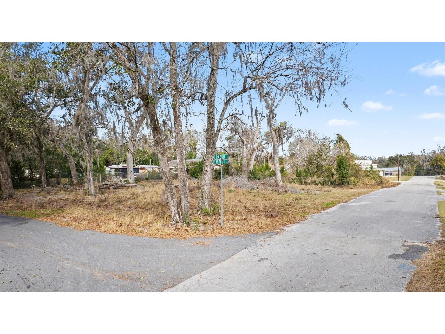 4864 S Whitetail Terrace Floral City FL 34436 TB8471744 image5