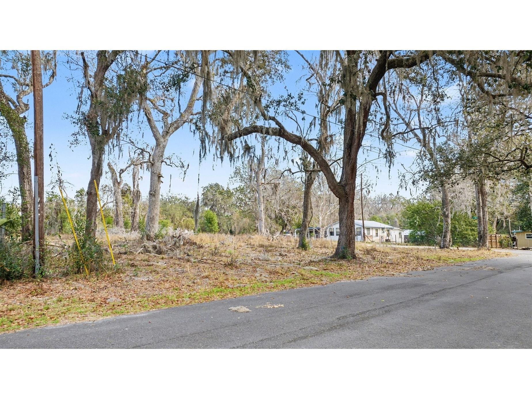 4864 S Whitetail Terrace Floral City FL 34436 TB8471744 image6