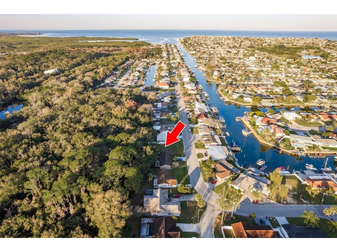 4864 Shell Stream Boulevard New Port Richey FL 34652 U8229558 image1