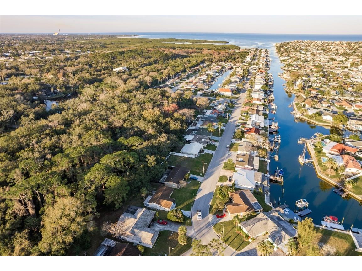 4864 Shell Stream Boulevard New Port Richey FL 34652 U8229558 image13