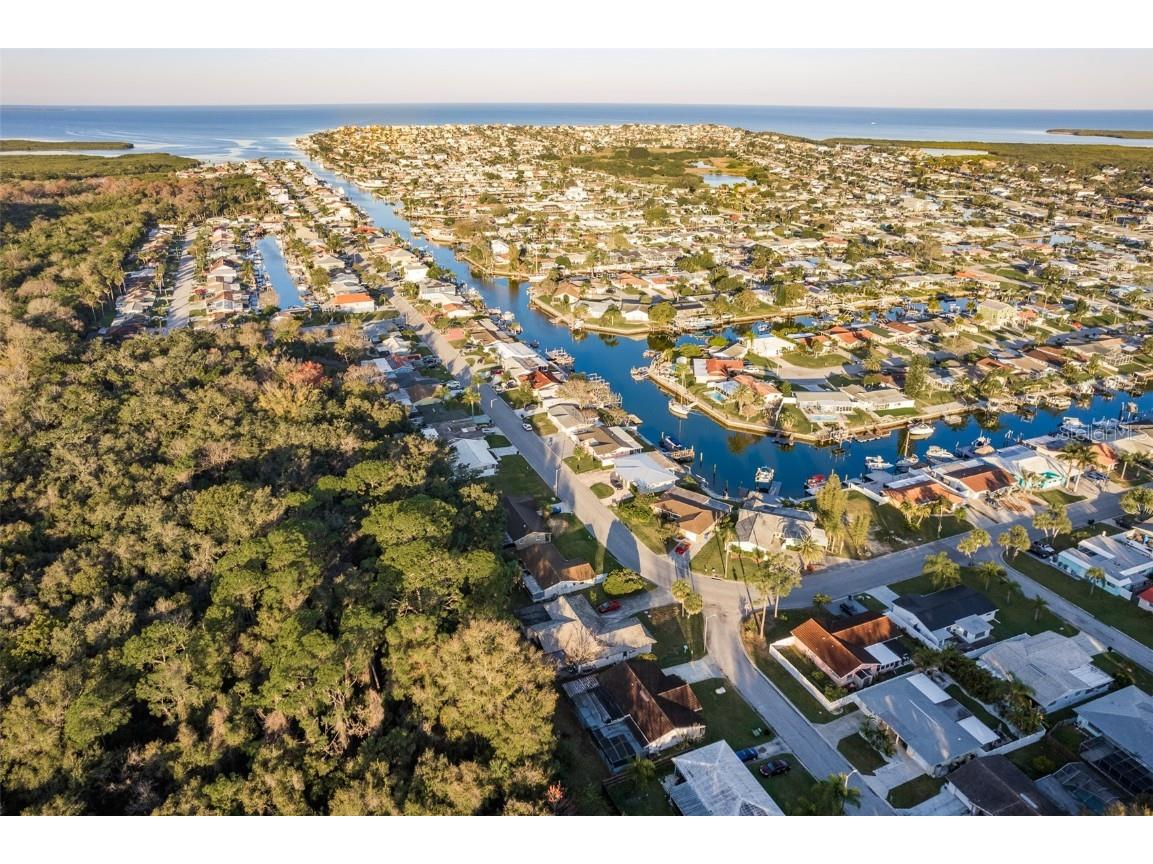 4864 Shell Stream Boulevard New Port Richey FL 34652 U8229558 image14