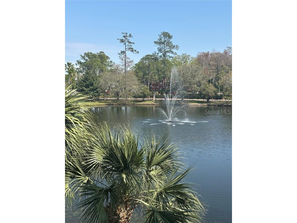 4865 Cypress Woods Drive #2202 Orlando FL 32811 O6333147 image34