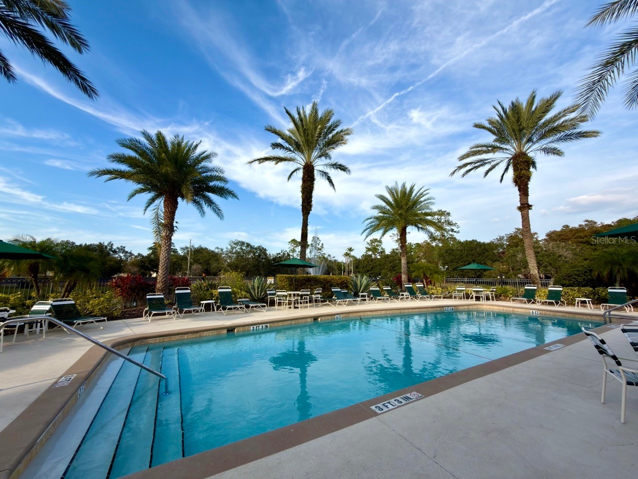 4865 Cypress Woods Drive #2302 Orlando FL 32811 O6421844 image36