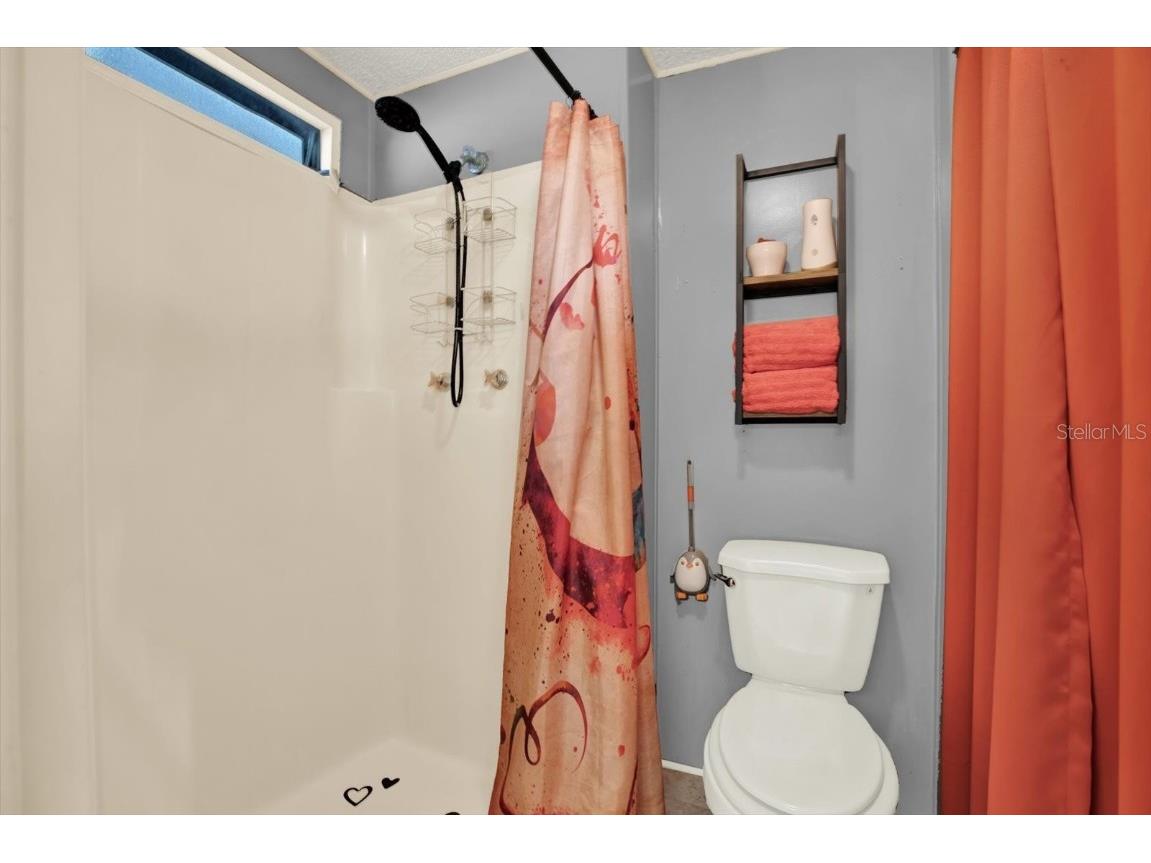 4865 Goldenview Lane Lakeland FL 33811 TB8410808 image11