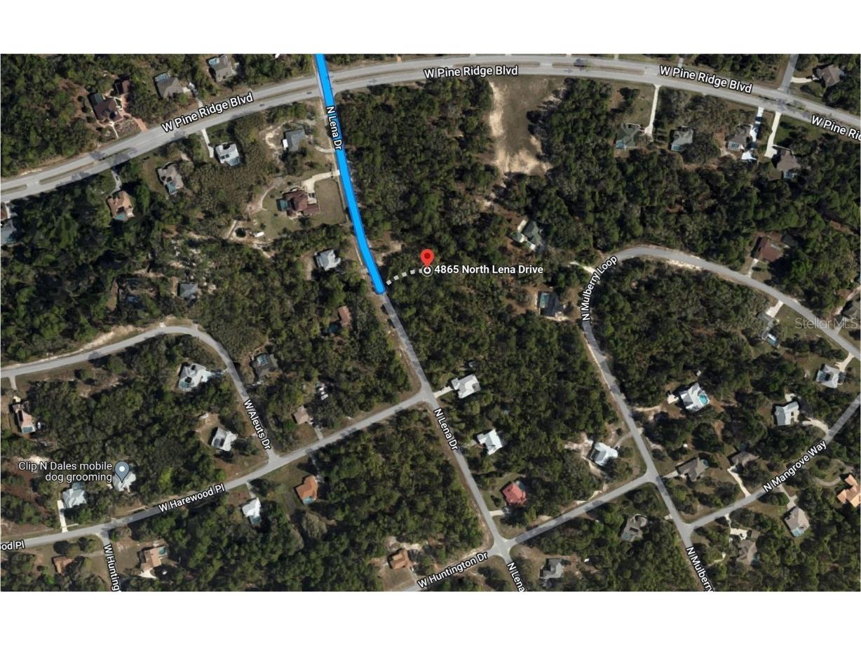 4865 N Lena Drive Beverly Hills FL 34465 OM648809 image1
