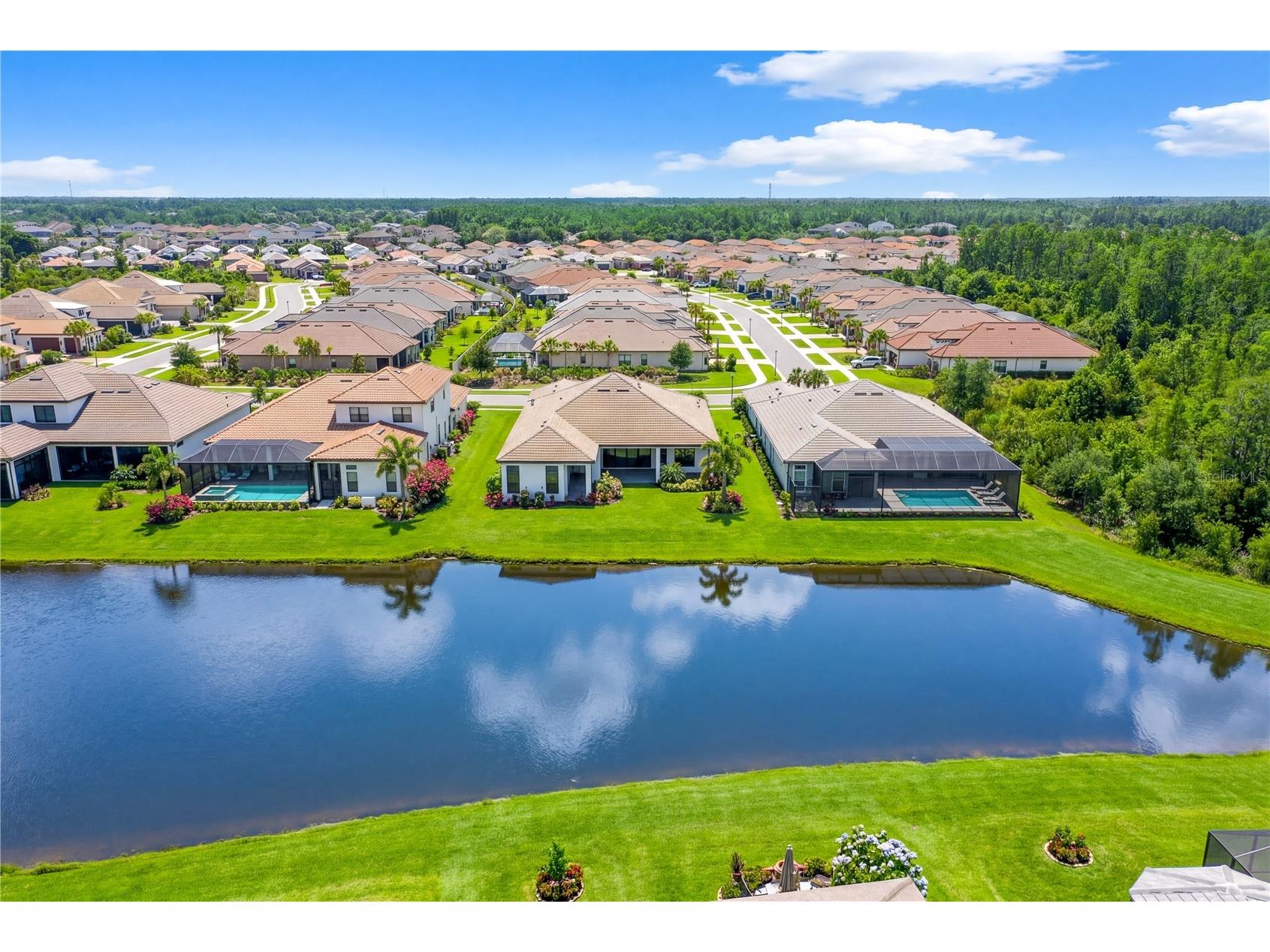 4866 Freccia Loop Wesley Chapel FL 33543 TB8505403 image38