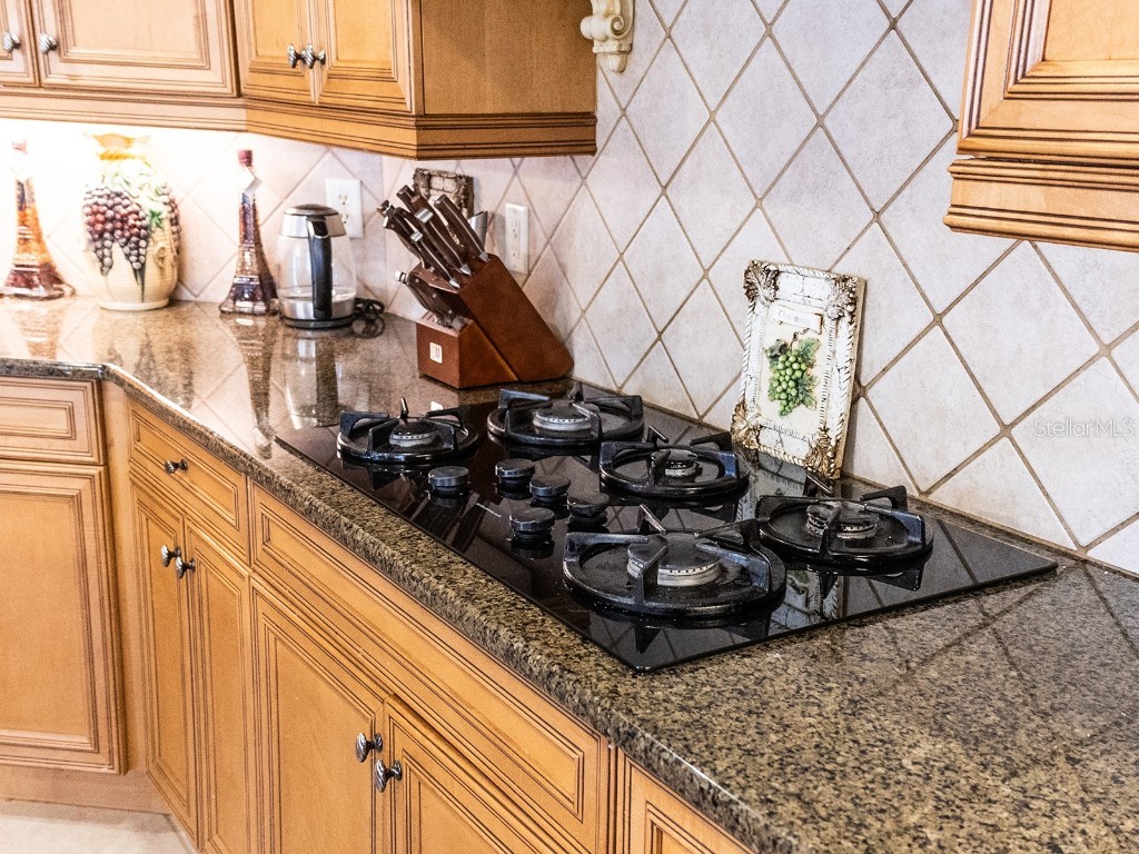 4866 Keeneland Circle Orlando FL 32819 S5138216 image27