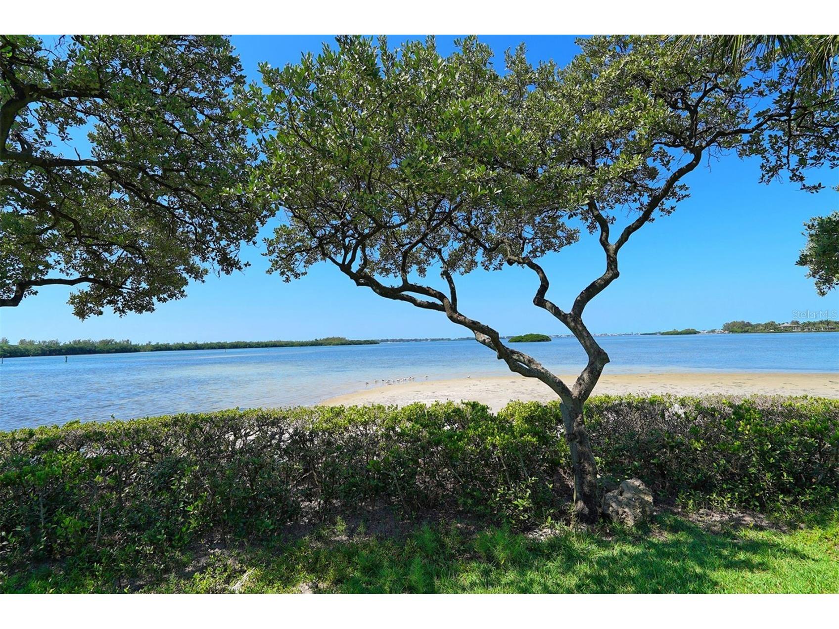 4868 Independence Drive Bradenton FL 34210 A4678566 image63