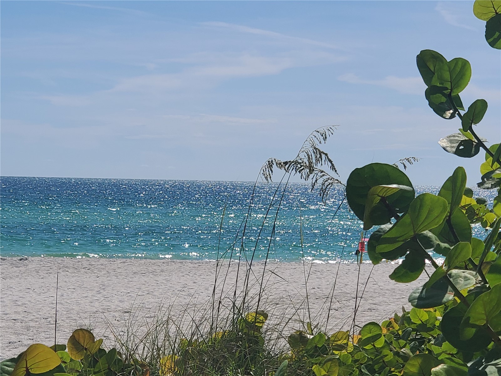 4868 Independence Drive Bradenton FL 34210 A4678566 image67