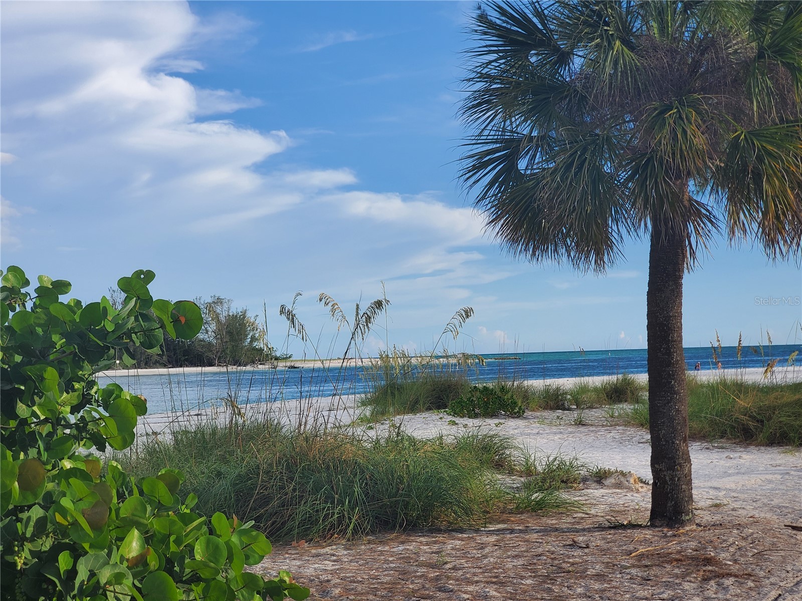 4868 Independence Drive Bradenton FL 34210 A4678566 image69