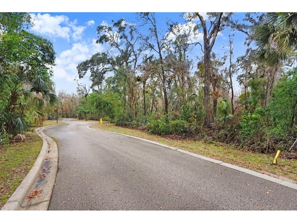 4868 Rambling River Road Brandon FL 33511 - ALAFIA RIVER TB8346380 image10