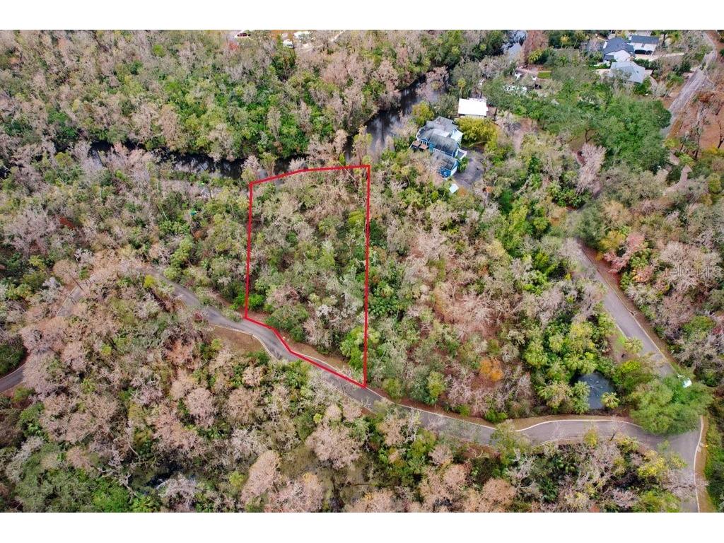 4868 Rambling River Road Brandon FL 33511 - ALAFIA RIVER TB8346380 image19