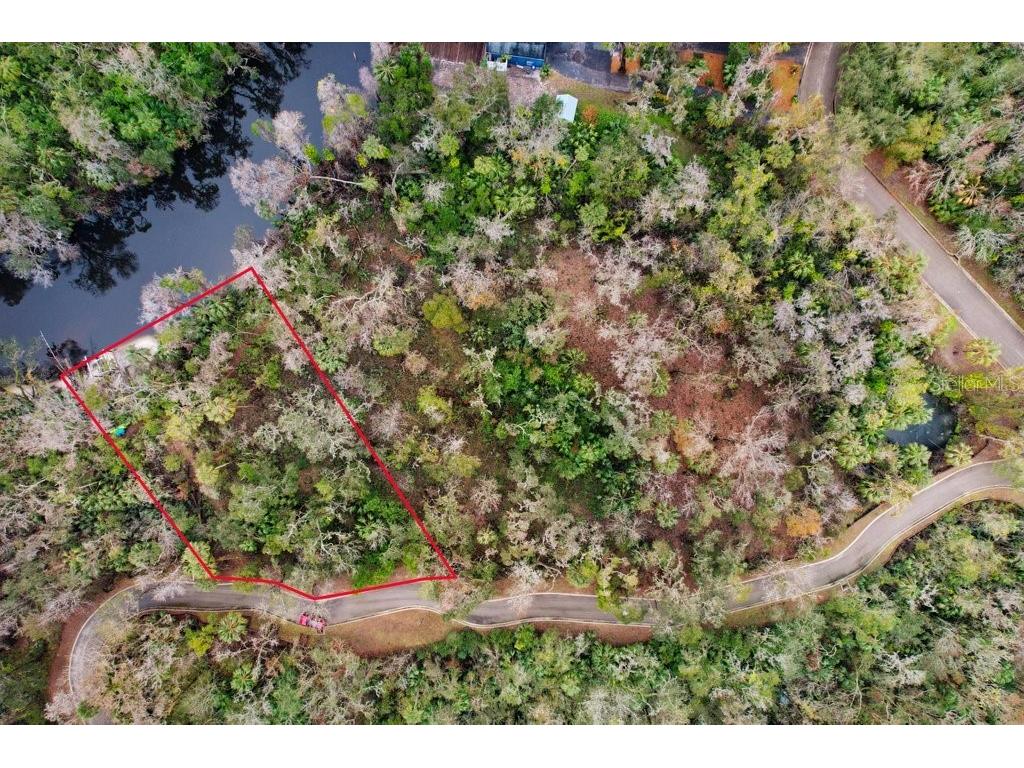 4868 Rambling River Road Brandon FL 33511 - ALAFIA RIVER TB8346380 image23