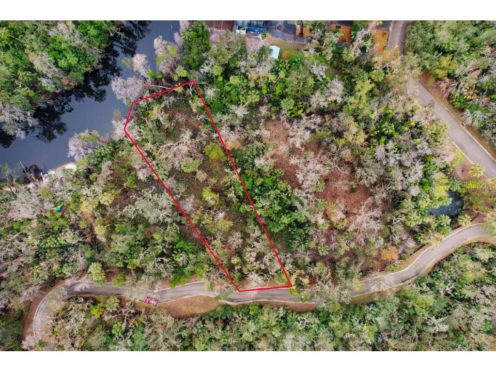 4868 Rambling River Road Brandon FL 33511 - ALAFIA RIVER TB8346380 image25