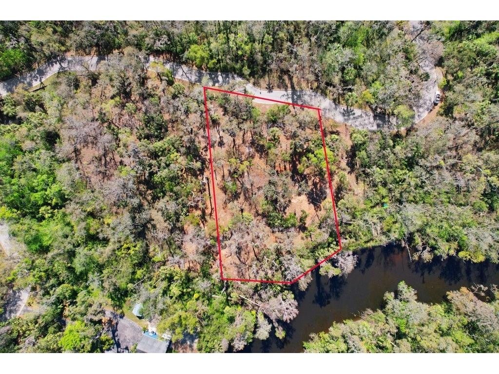 4868 Rambling River Road Brandon FL 33511 - ALAFIA RIVER TB8346380 image39