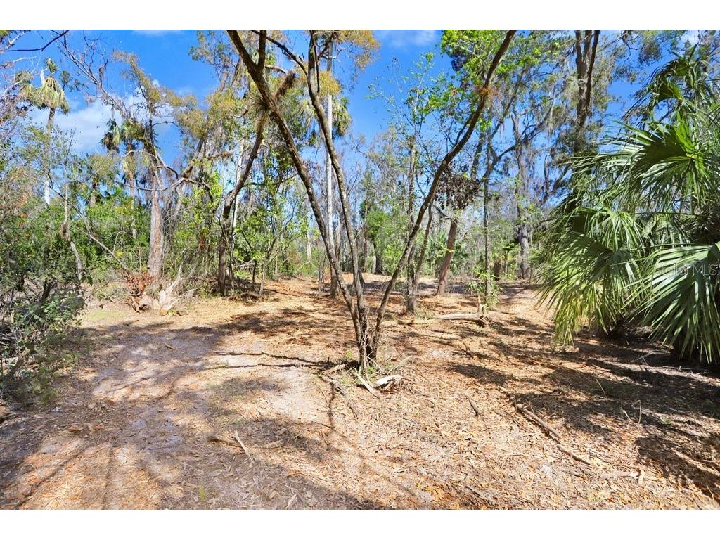 4868 Rambling River Road Brandon FL 33511 - ALAFIA RIVER TB8346380 image40