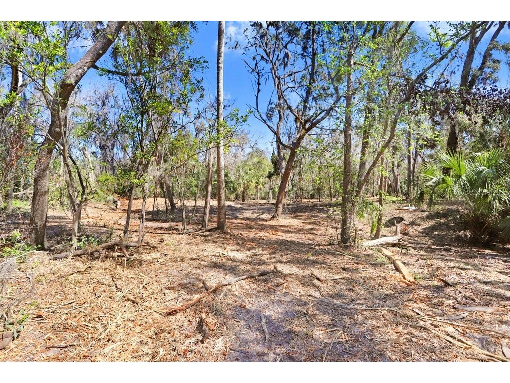 4868 Rambling River Road Brandon FL 33511 - ALAFIA RIVER TB8346380 image41