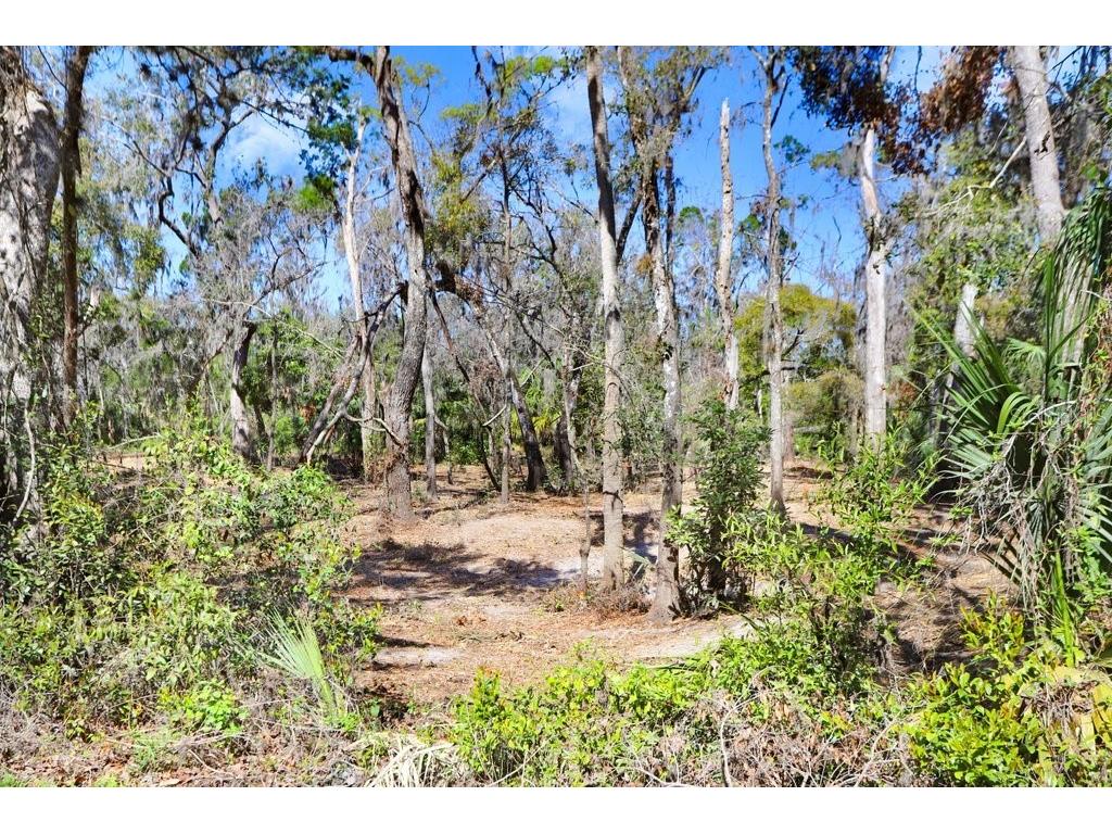 4868 Rambling River Road Brandon FL 33511 - ALAFIA RIVER TB8346380 image42