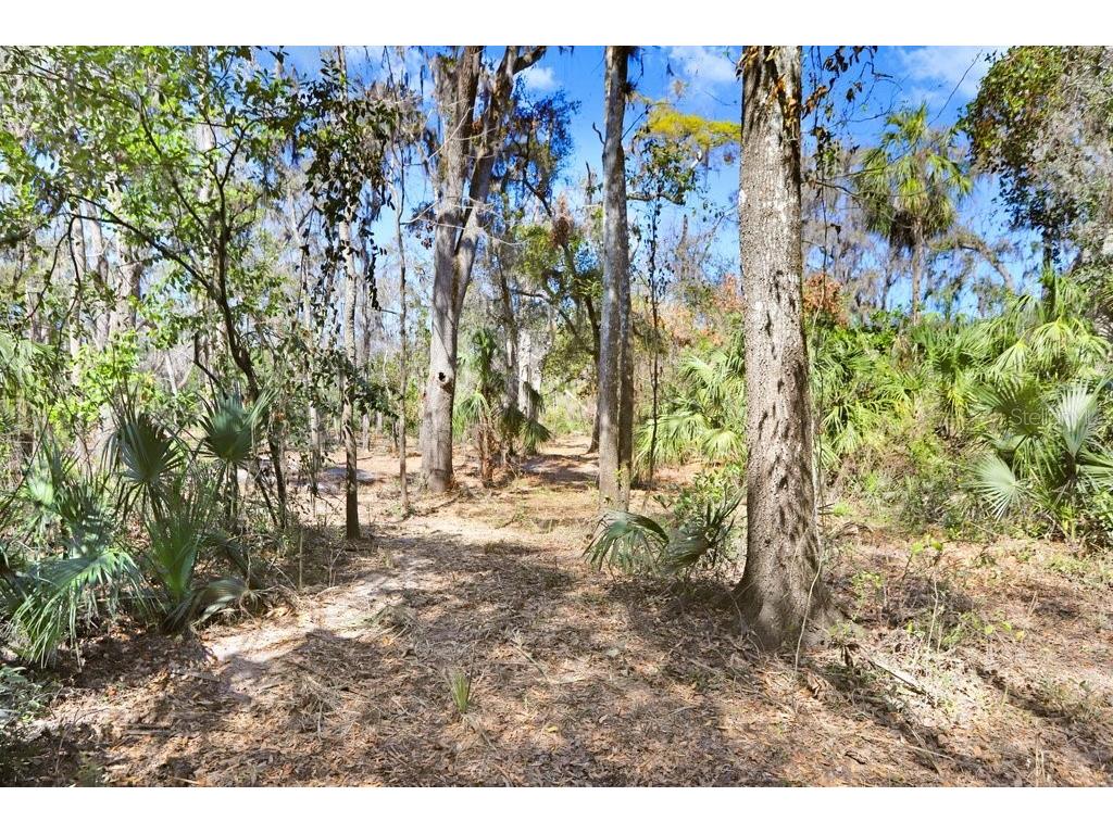 4868 Rambling River Road Brandon FL 33511 - ALAFIA RIVER TB8346380 image43