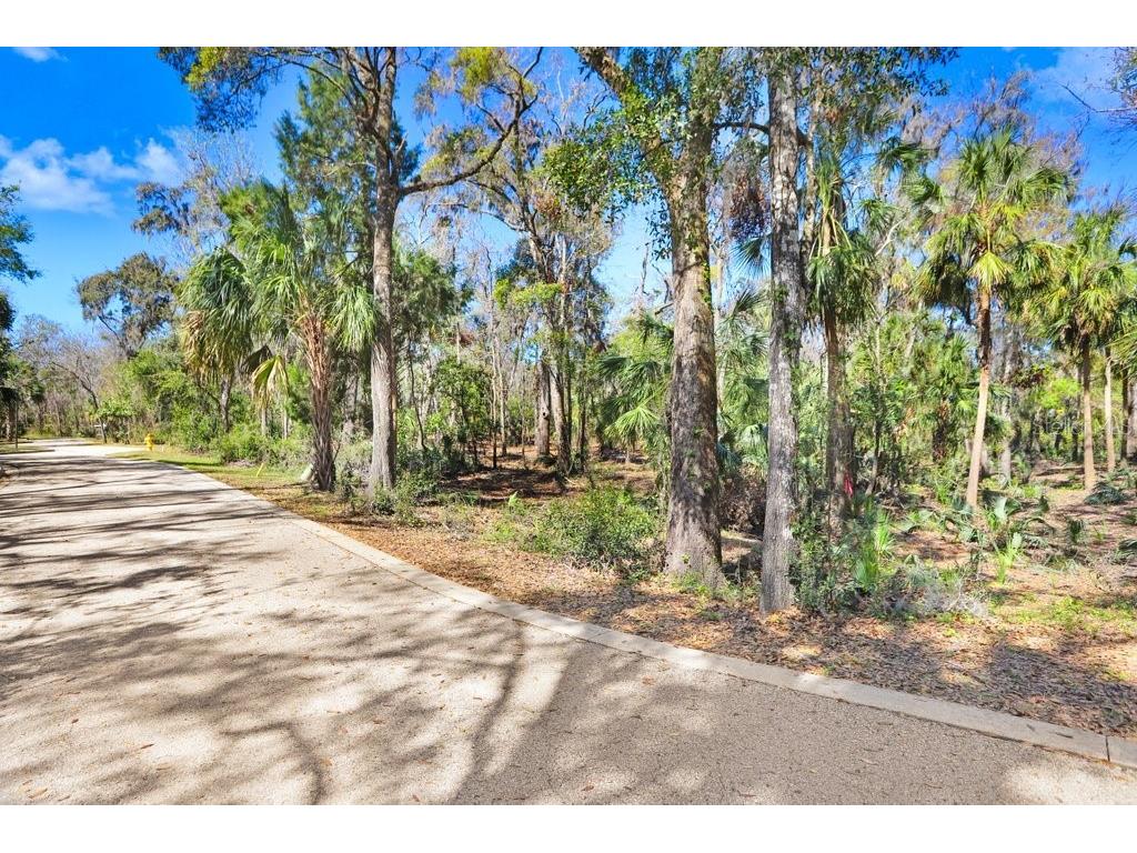 4868 Rambling River Road Brandon FL 33511 - ALAFIA RIVER TB8346380 image44
