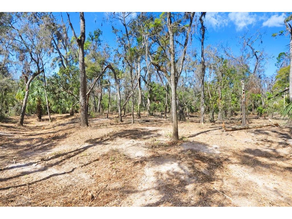 4868 Rambling River Road Brandon FL 33511 - ALAFIA RIVER TB8346380 image45