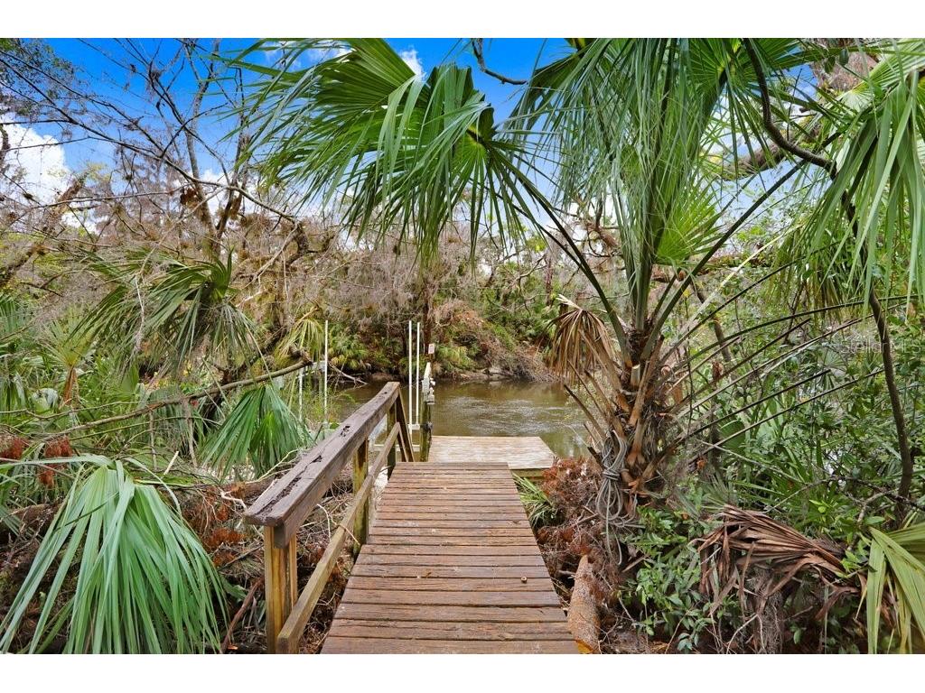 4868 Rambling River Road Brandon FL 33511 - ALAFIA RIVER TB8346380 image6