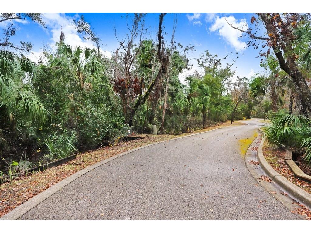 4868 Rambling River Road Brandon FL 33511 - ALAFIA RIVER TB8346380 image9