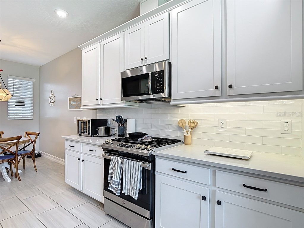 4868 San Martino Drive Wesley Chapel FL 33543 TB8427818 image14