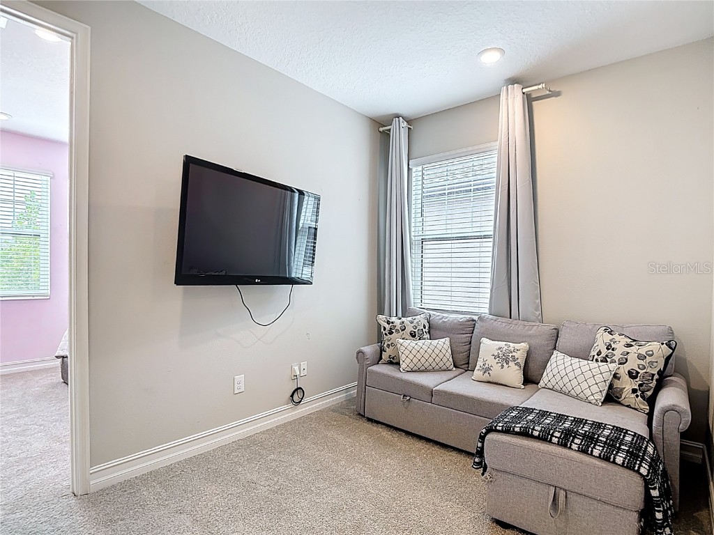 4868 San Martino Drive Wesley Chapel FL 33543 TB8427818 image26