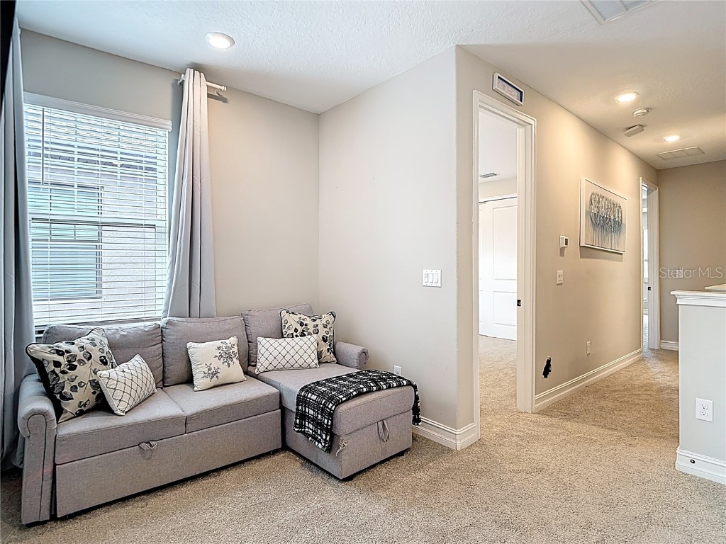 4868 San Martino Drive Wesley Chapel FL 33543 TB8427818 image27