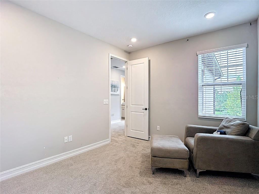 4868 San Martino Drive Wesley Chapel FL 33543 TB8427818 image30