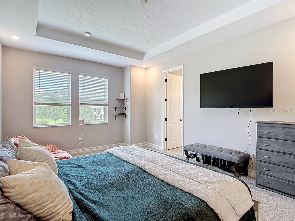 4868 San Martino Drive Wesley Chapel FL 33543 TB8427818 image36