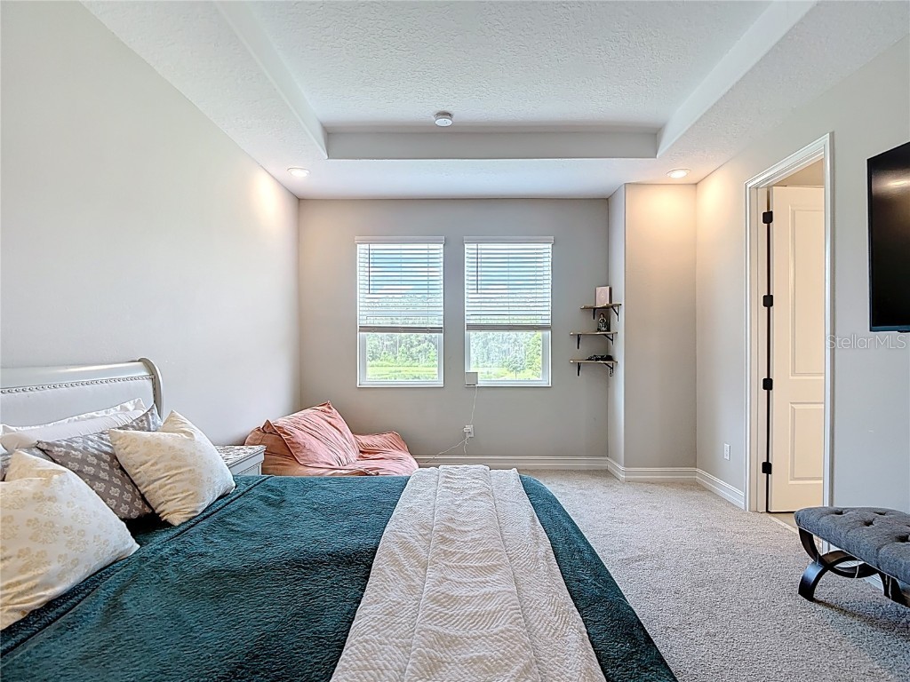 4868 San Martino Drive Wesley Chapel FL 33543 TB8427818 image37