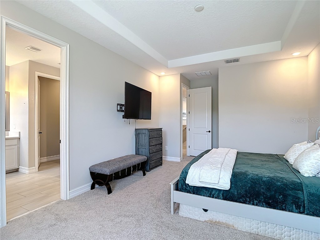 4868 San Martino Drive Wesley Chapel FL 33543 TB8427818 image38