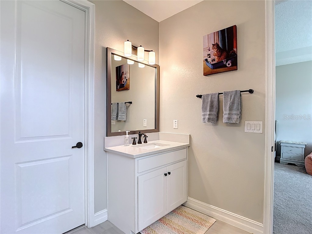 4868 San Martino Drive Wesley Chapel FL 33543 TB8427818 image40