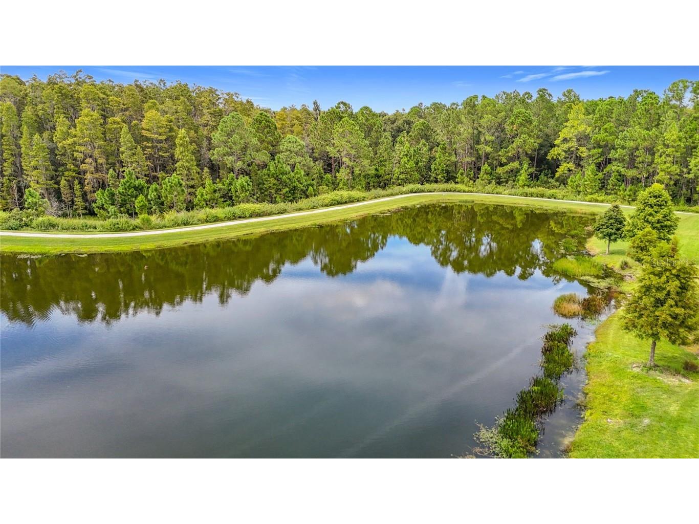 4868 San Martino Drive Wesley Chapel FL 33543 TB8427818 image46