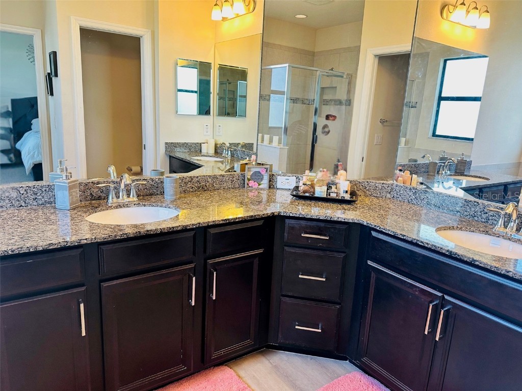 4868 Wandering Way Wesley Chapel FL 33544 TB8443045 image9