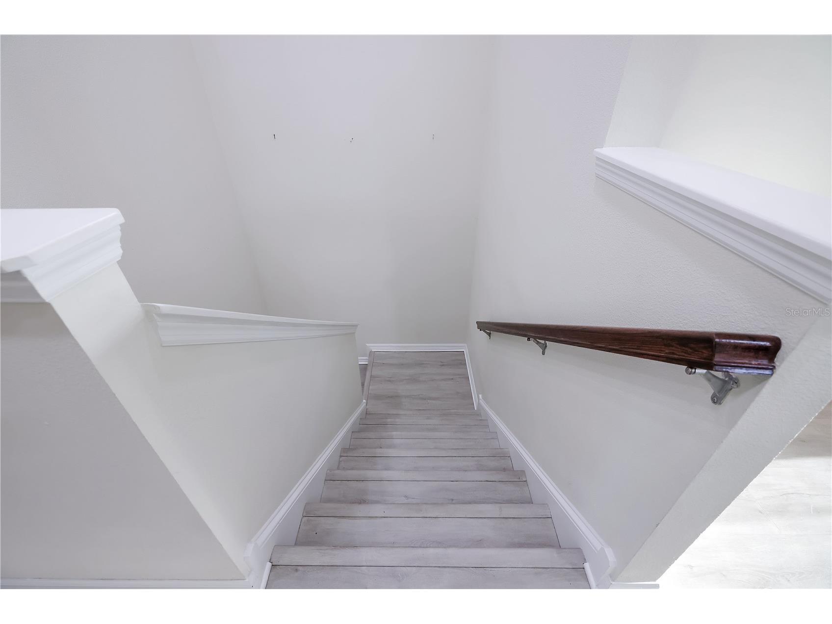 4868 Wandering Way Wesley Chapel FL 33544 TB8498868 image12