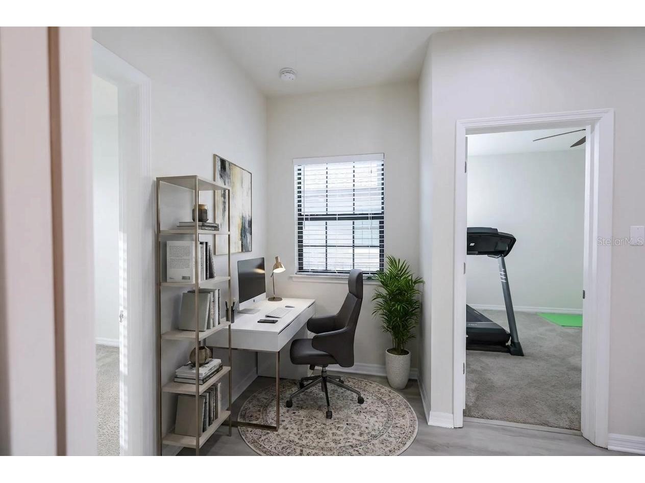 4868 Wandering Way Wesley Chapel FL 33544 TB8498868 image15