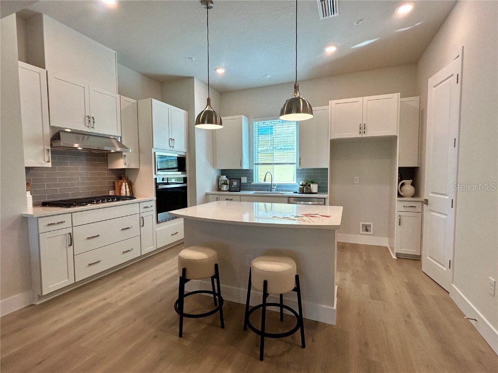 487 31st Way N Saint Petersburg FL 33713 TB8413881 image7