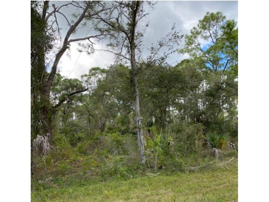 487 Halloran Street Port Charlotte FL 33953 N6129955 image1