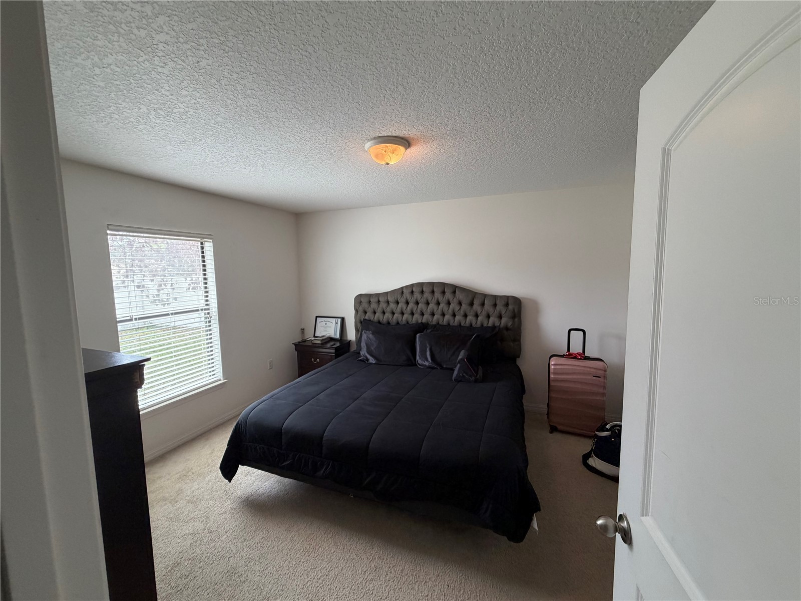 487 Ocho Rios Avenue Tavares FL 32778 TB8487209 image5