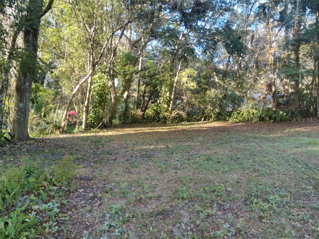 487 Rylane Street De Leon Springs FL 32130 V4946414 image36