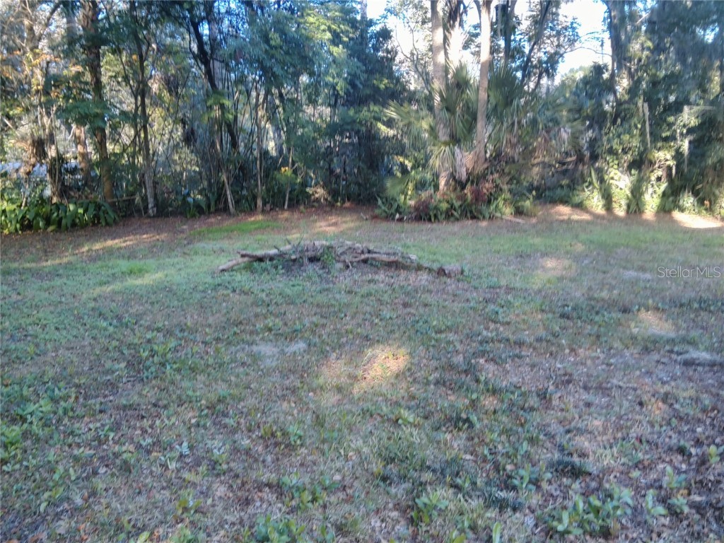 487 Rylane Street De Leon Springs FL 32130 V4946414 image37