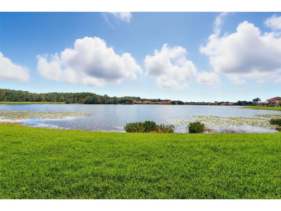 4870 Watervista Drive Orlando FL 32821 O6351089 image33