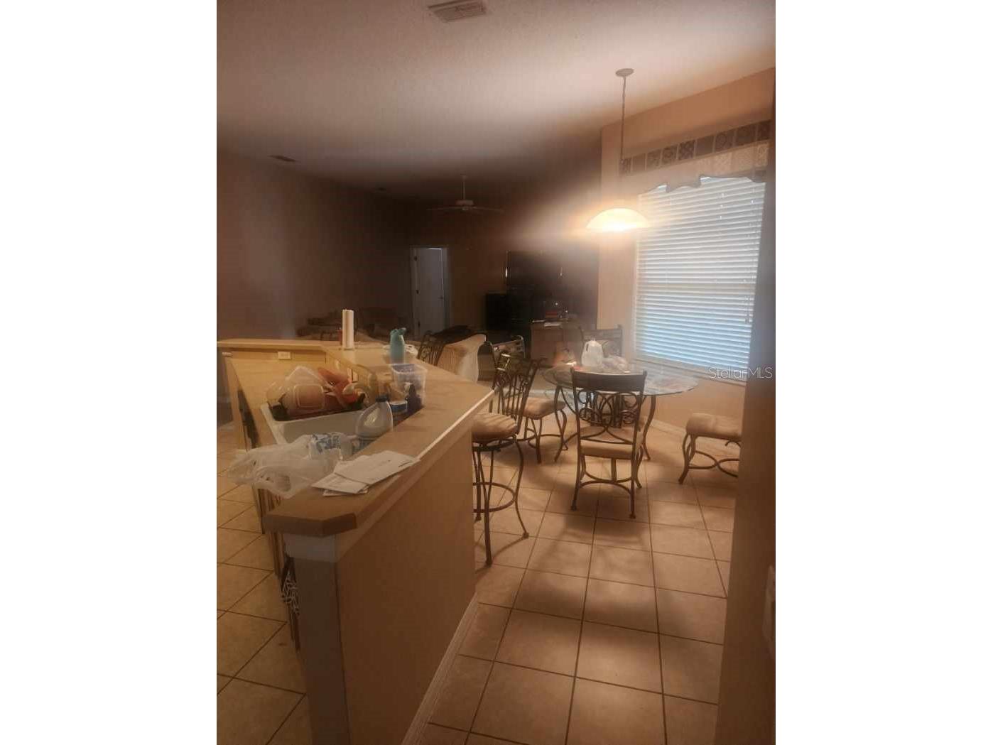 4871 Fells Cove Avenue Kissimmee FL 34744 A4695870 image6
