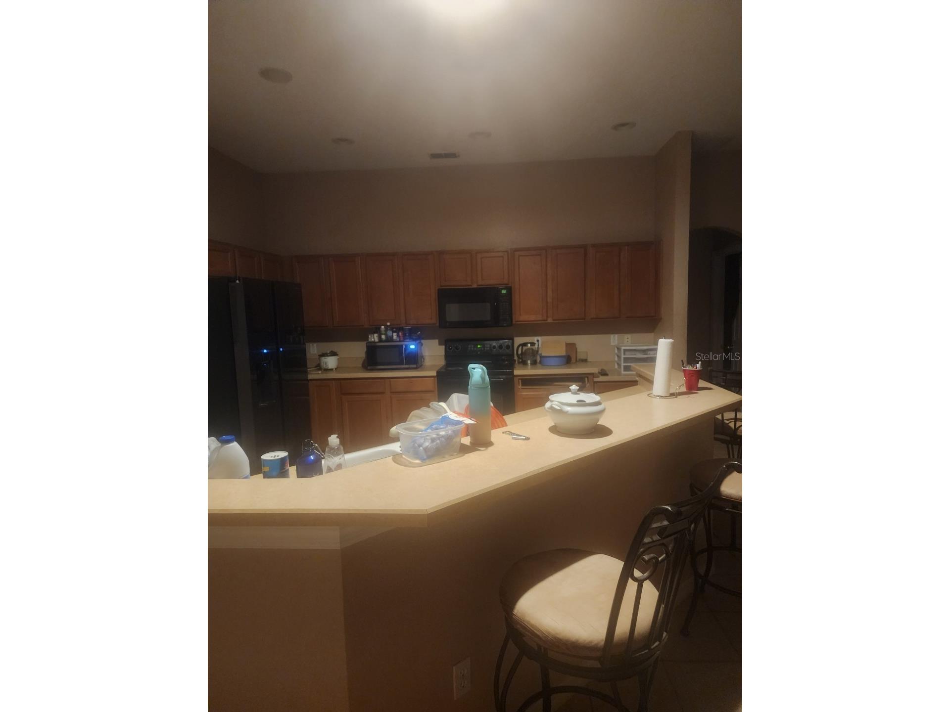 4871 Fells Cove Avenue Kissimmee FL 34744 A4695870 image8